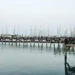 Faro